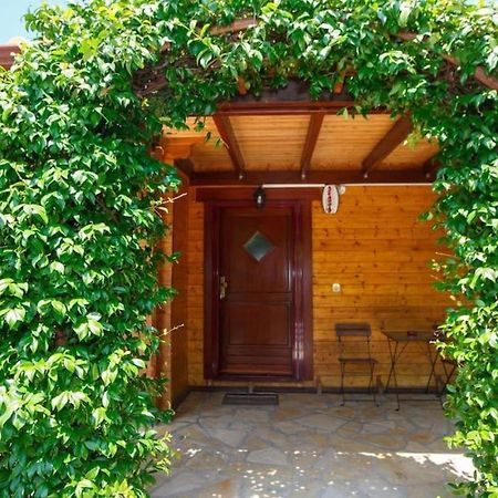 Wooden House In Ioannina Apartman Kültér fotó