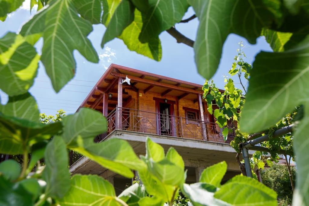 Wooden House In Ioannina Apartman Kültér fotó