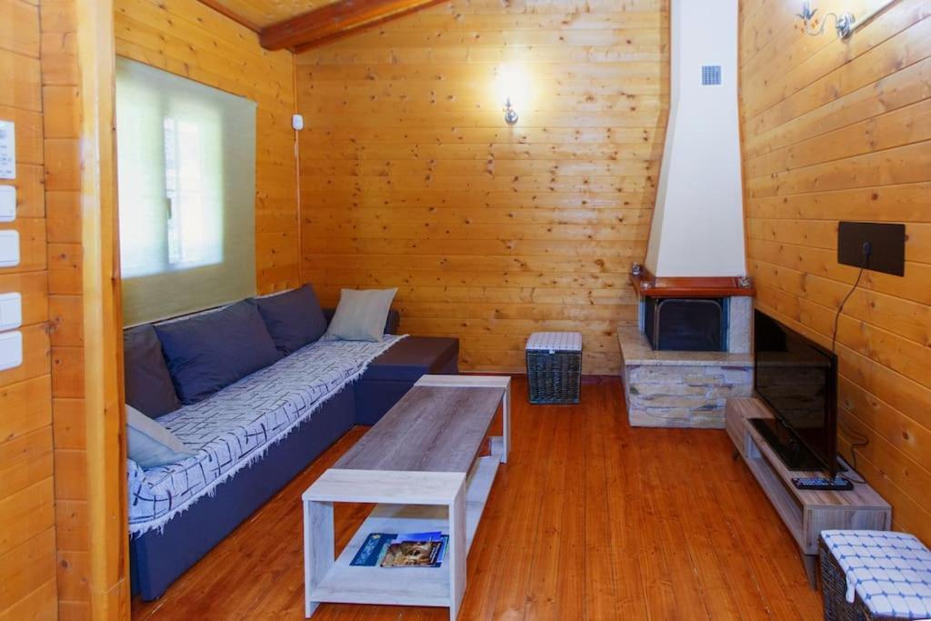 Wooden House In Ioannina Apartman Kültér fotó