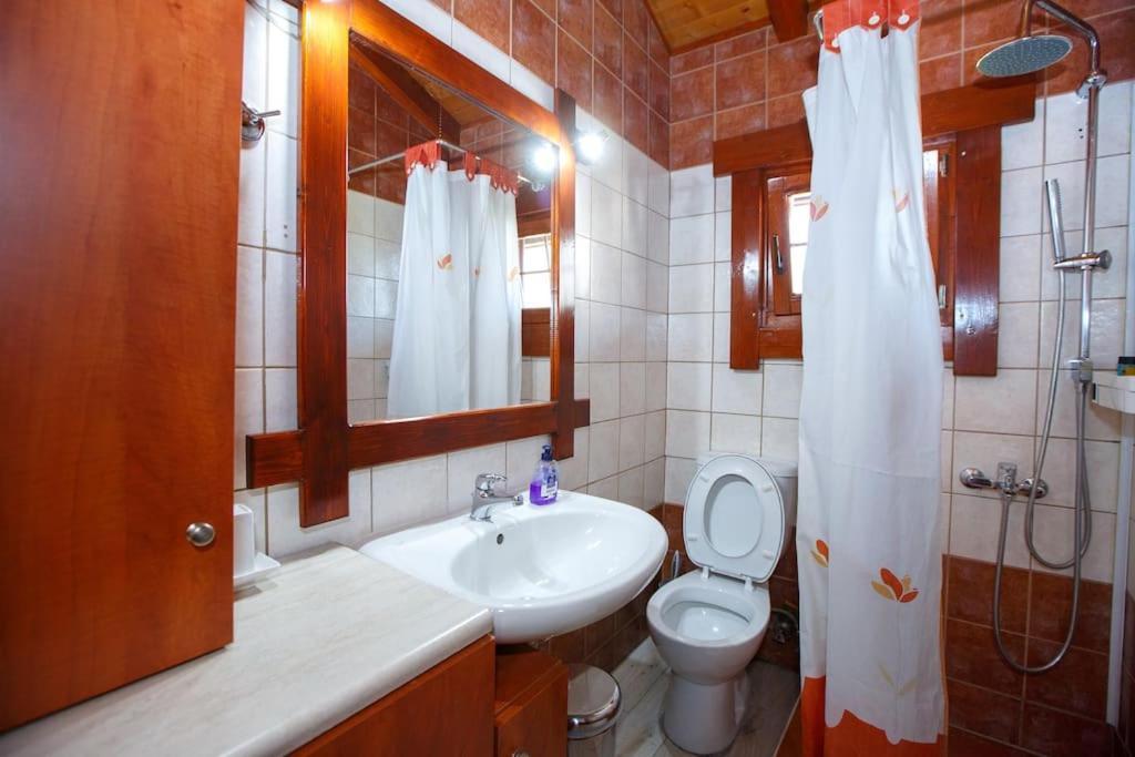 Wooden House In Ioannina Apartman Kültér fotó
