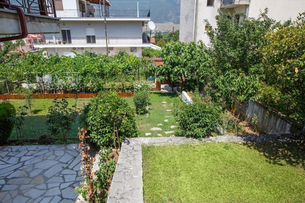 Wooden House In Ioannina Apartman Kültér fotó