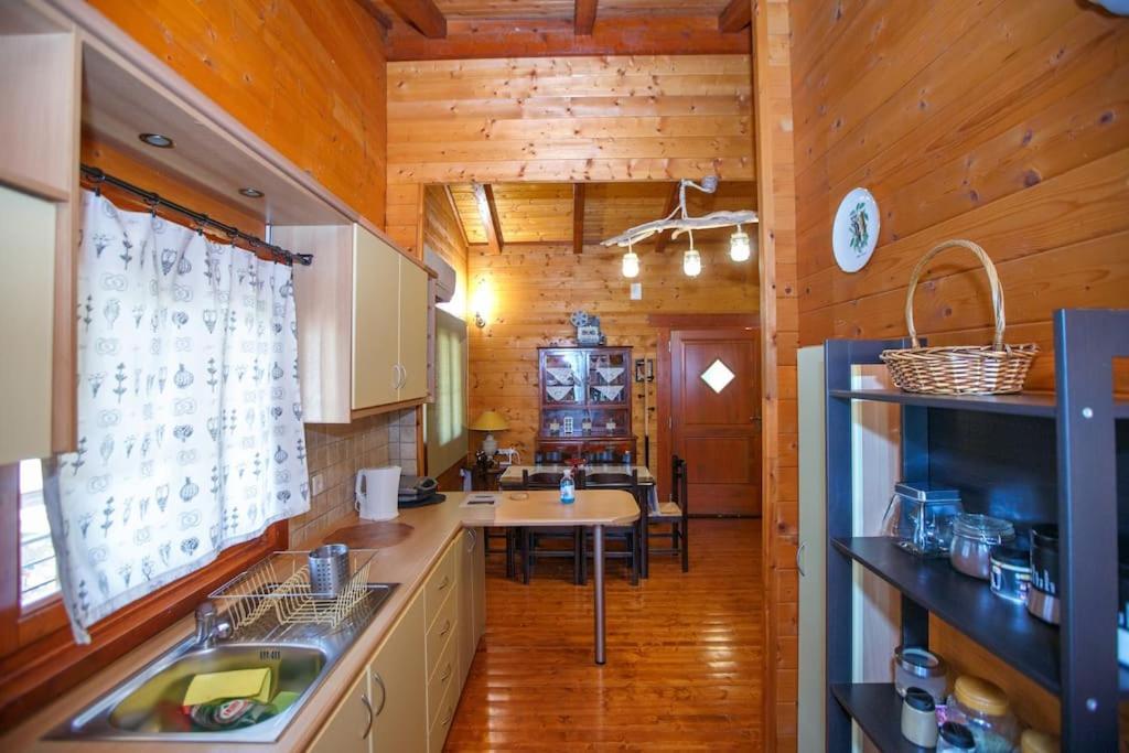 Wooden House In Ioannina Apartman Kültér fotó