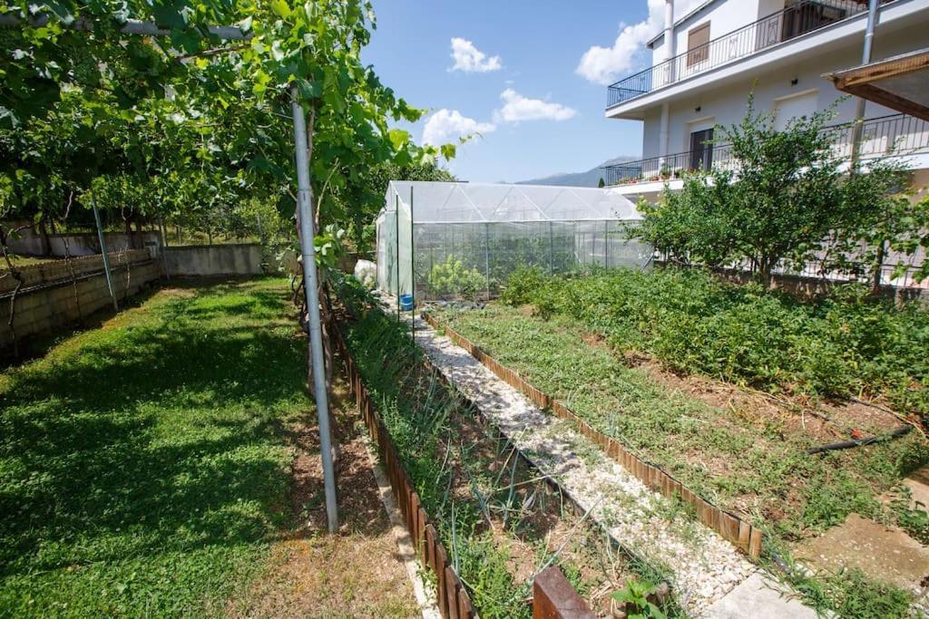 Wooden House In Ioannina Apartman Kültér fotó