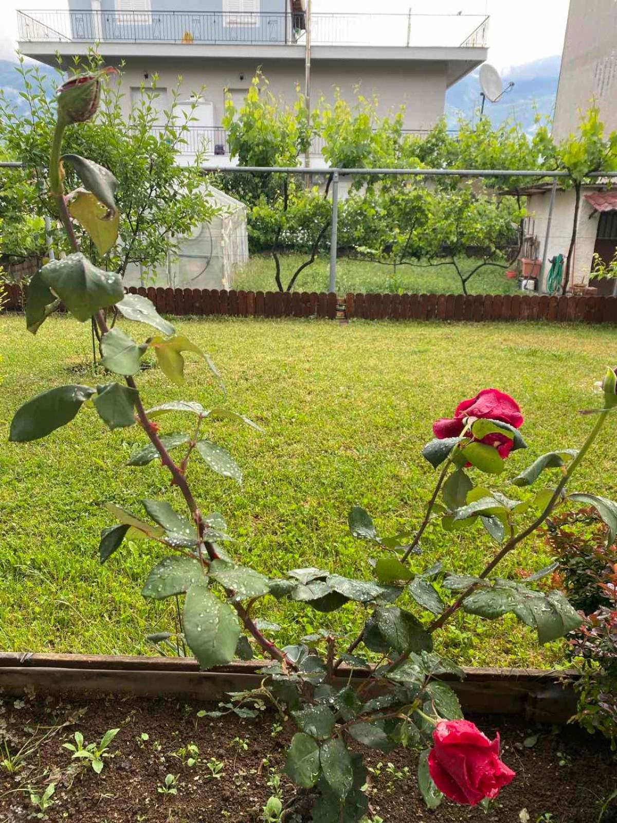 Wooden House In Ioannina Apartman Kültér fotó