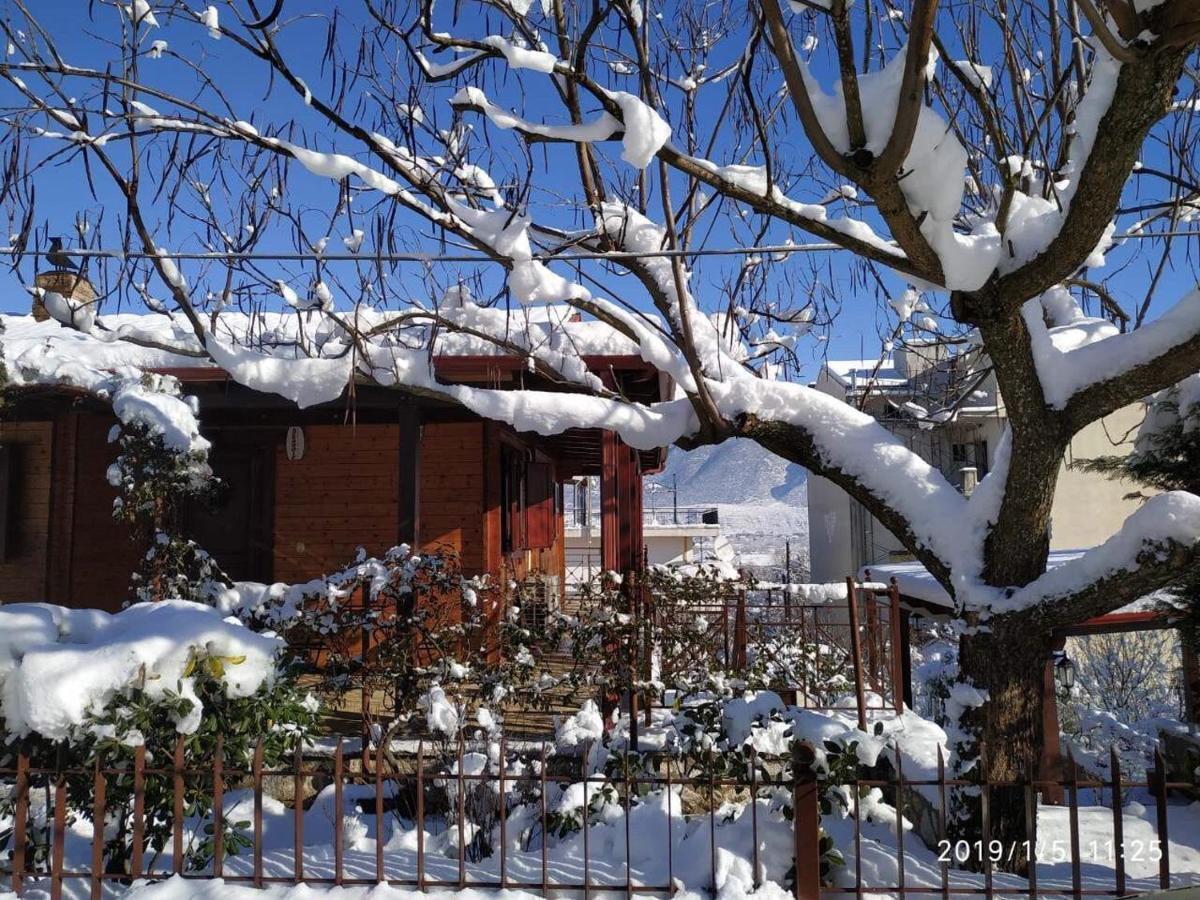 Wooden House In Ioannina Apartman Kültér fotó