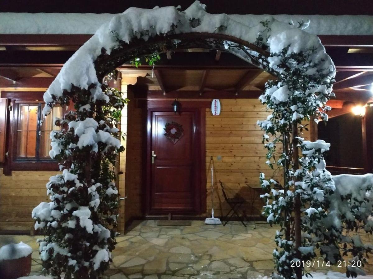 Wooden House In Ioannina Apartman Kültér fotó