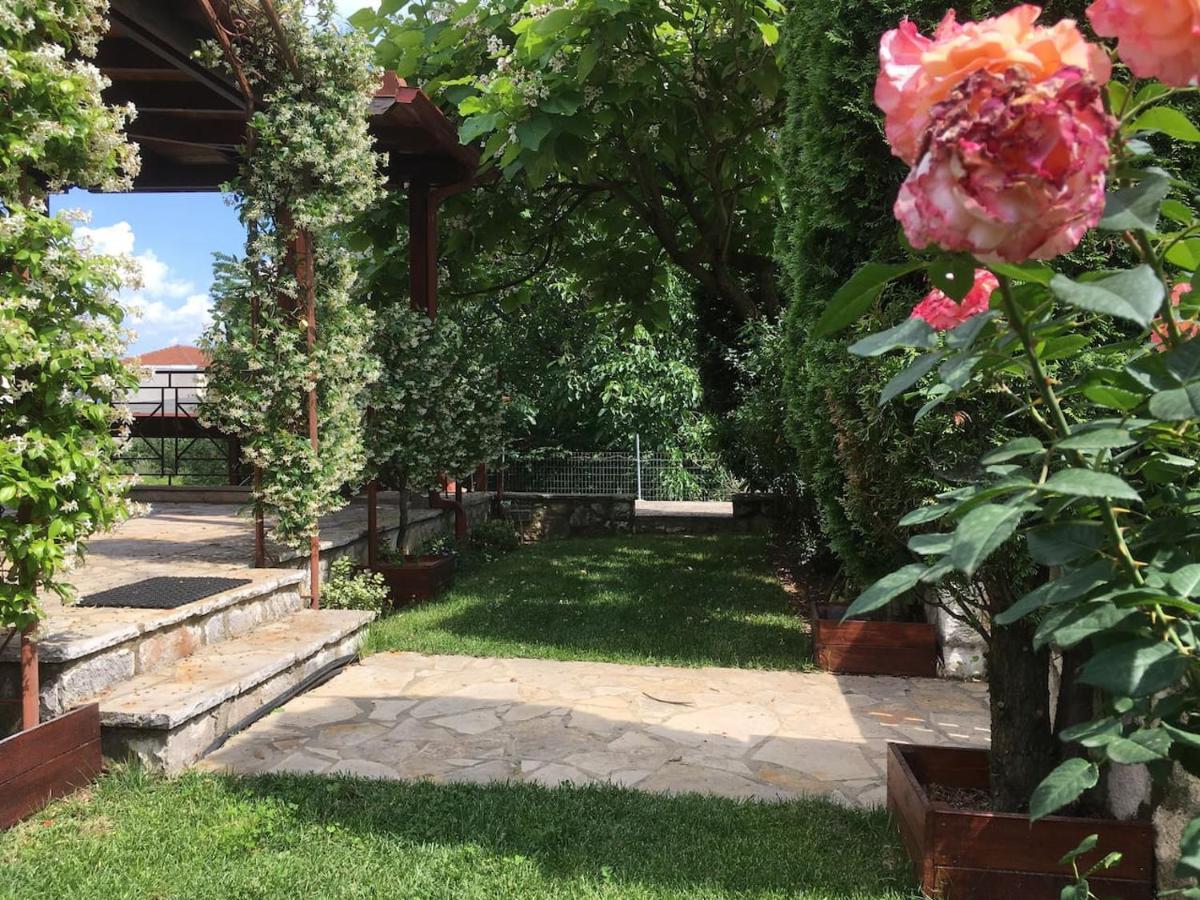 Wooden House In Ioannina Apartman Kültér fotó